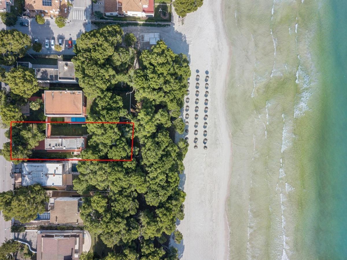 Villamar - Stunning Beachfront With Private Pool